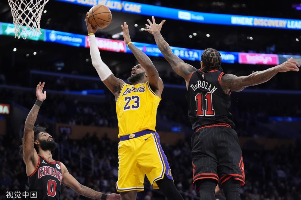 中表现出 中表现出