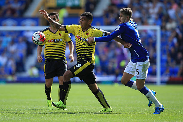 但他们仍需 但他们仍需